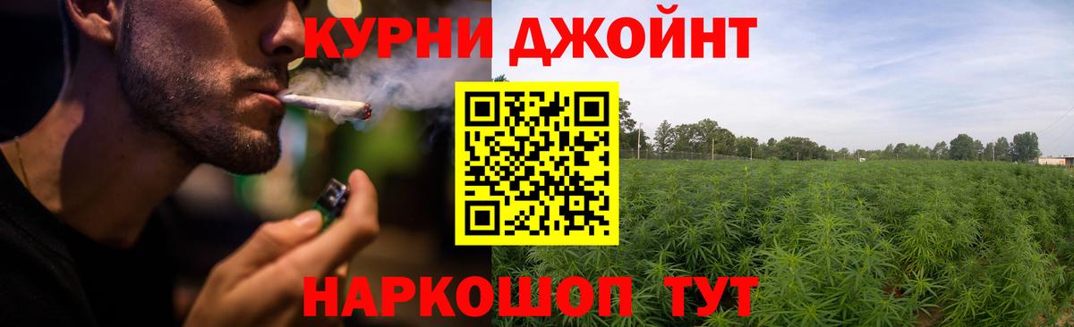 Канабис семена Иваново